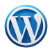 icons8-wordpress-375